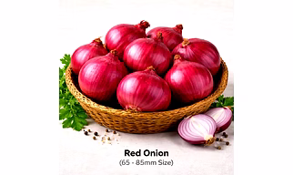 Red Onion with 65 - 85mm Size