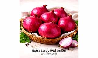 Red Onion with 85+mm Size