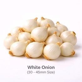 vayus global white onion with 30 - 45mm size