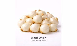 White Onion with 30 - 45mm Size
