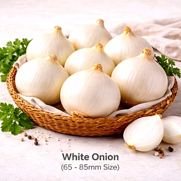 vayus global white onion with 65 - 85mm size