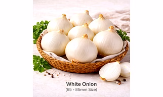 White Onion with 65 - 85mm Size