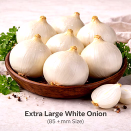 vayus global white onion with 85+mm size