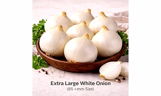 White Onion with 85+mm Size