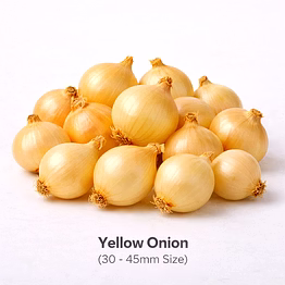 vayus global yellow onion with 30 - 45mm size