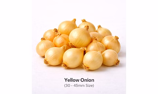 Yellow Onion with 30 - 45mm Size