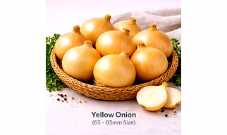 Yellow Onion with 65 - 85mm Size