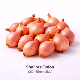 vayus global shallots onion with 30 - 45mm size