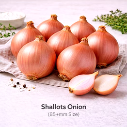 vayus global shallots onion with 85+mm size