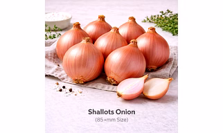 Shallots Onion with 85+mm Size