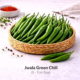 vayus global jwala green chili with 5 -7cm size