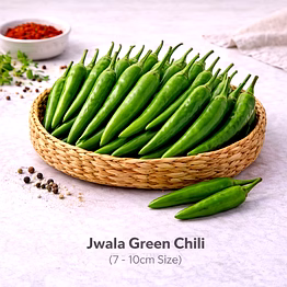 vayus global jwala green chili with 7 -10cm size