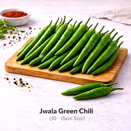 vayus global jwala green chili with 10 -15cm size