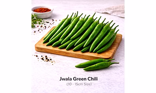 Jwala Green Chili with 10 -15cm Size