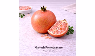 Ganesh Pomegranate with 600+g Size