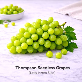 vayus global thompson seedless grapes with less 14mm size