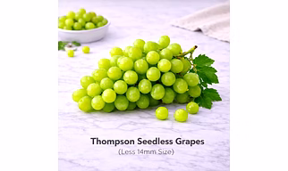 Thompson Seedless Grapes with Less 14mm Size