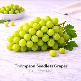 vayus global thompson seedless grapes with 14 -18mm size