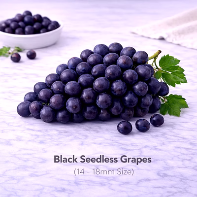 vayus global black seedless grapes with 14 -18mm size