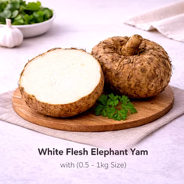 vayus global white flesh elephant yam with 0.5 - 1kg size