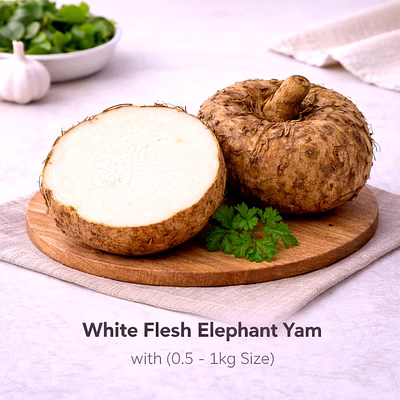 vayus global white flesh elephant yam with 0.5 - 1kg size