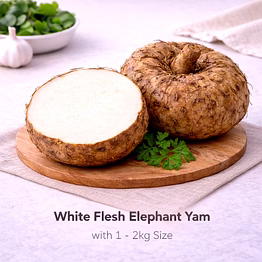 vayus global white flesh elephant yam with 1 - 2kg size