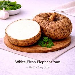 vayus global white flesh elephant yam with 2 - 4kg size