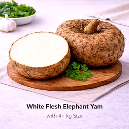 vayus global white flesh elephant yam with 4+kg size
