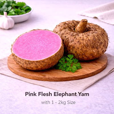 vayus global pink flesh elephant yam with 1 - 2kg size
