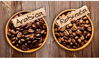 Coffee Beans
