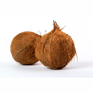 Coconut