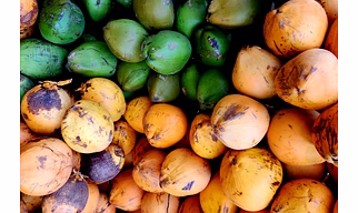 Tender Coconut