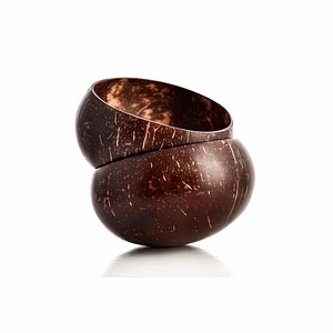 Coconut Shell Bowl