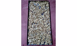 Ginger Flakes