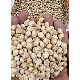 chickpeas kabuli