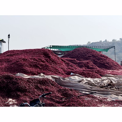 red chilli dry