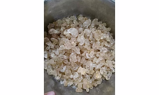 Edible Gum Gond