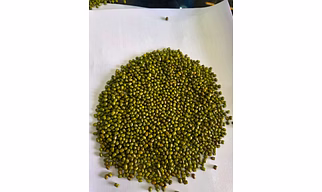 Green Moong Whole