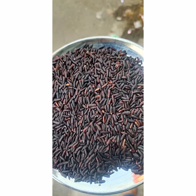 karuppukuvani/black rice