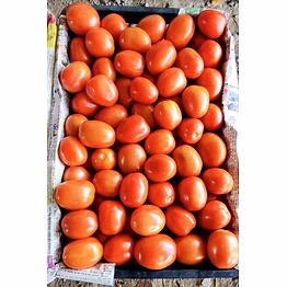 virang tomato
