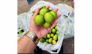 Lemons
