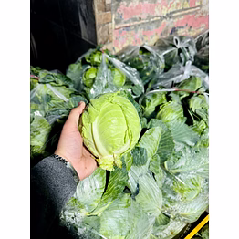 cabbage