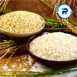 sona masoori rice