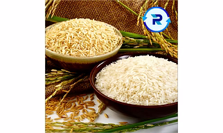 sona masoori rice