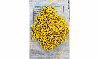 Turmeric