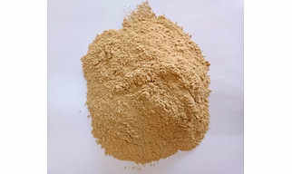 Dry garlic powder