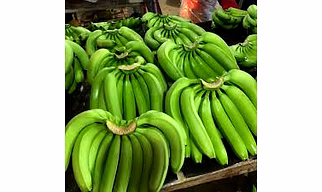 G9 Banana