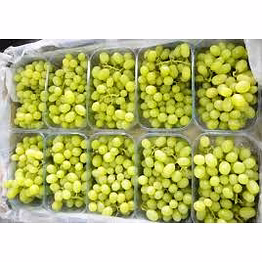grapes