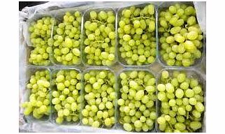 grapes