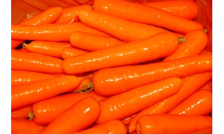 Fresh Carrots
